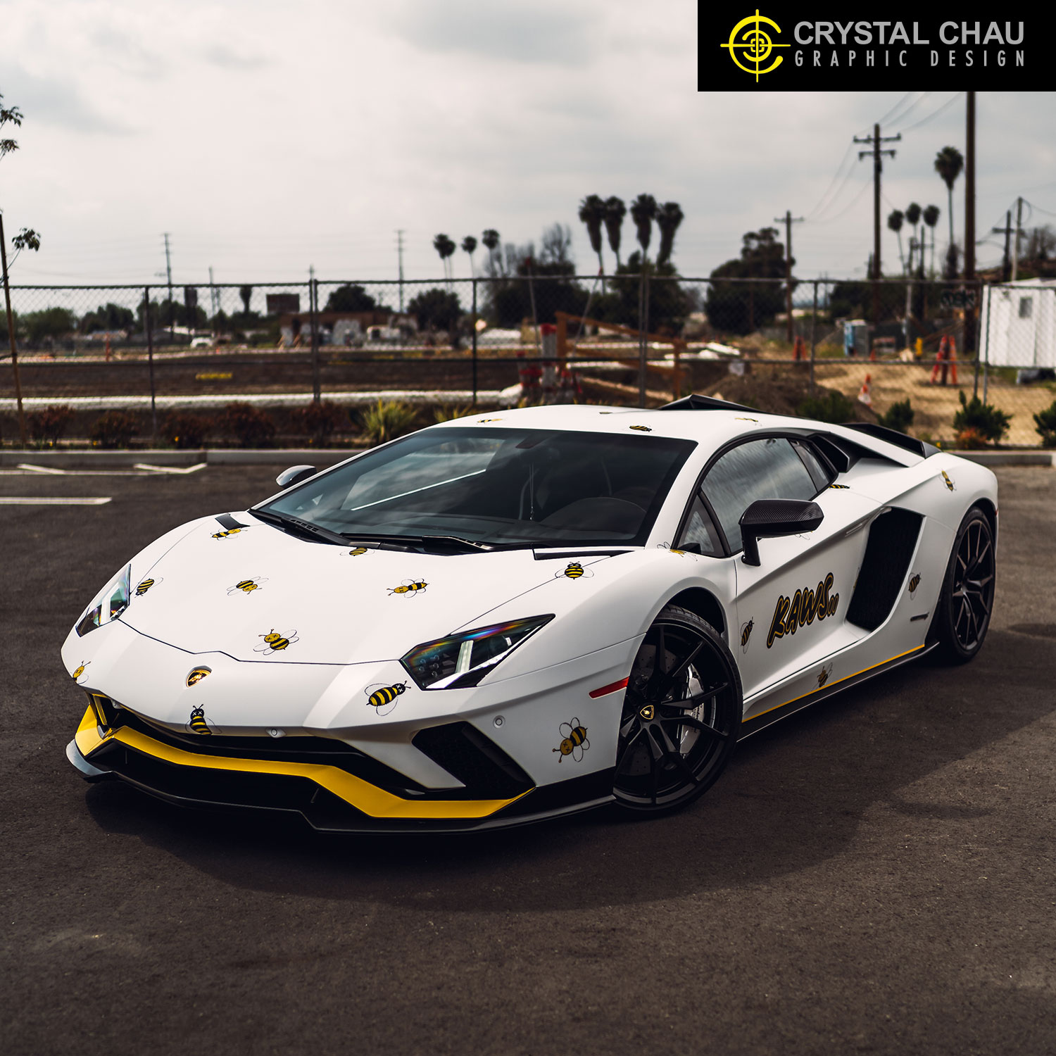 Lamborghini Aventador S Kaws Christian Dior Collab Bees