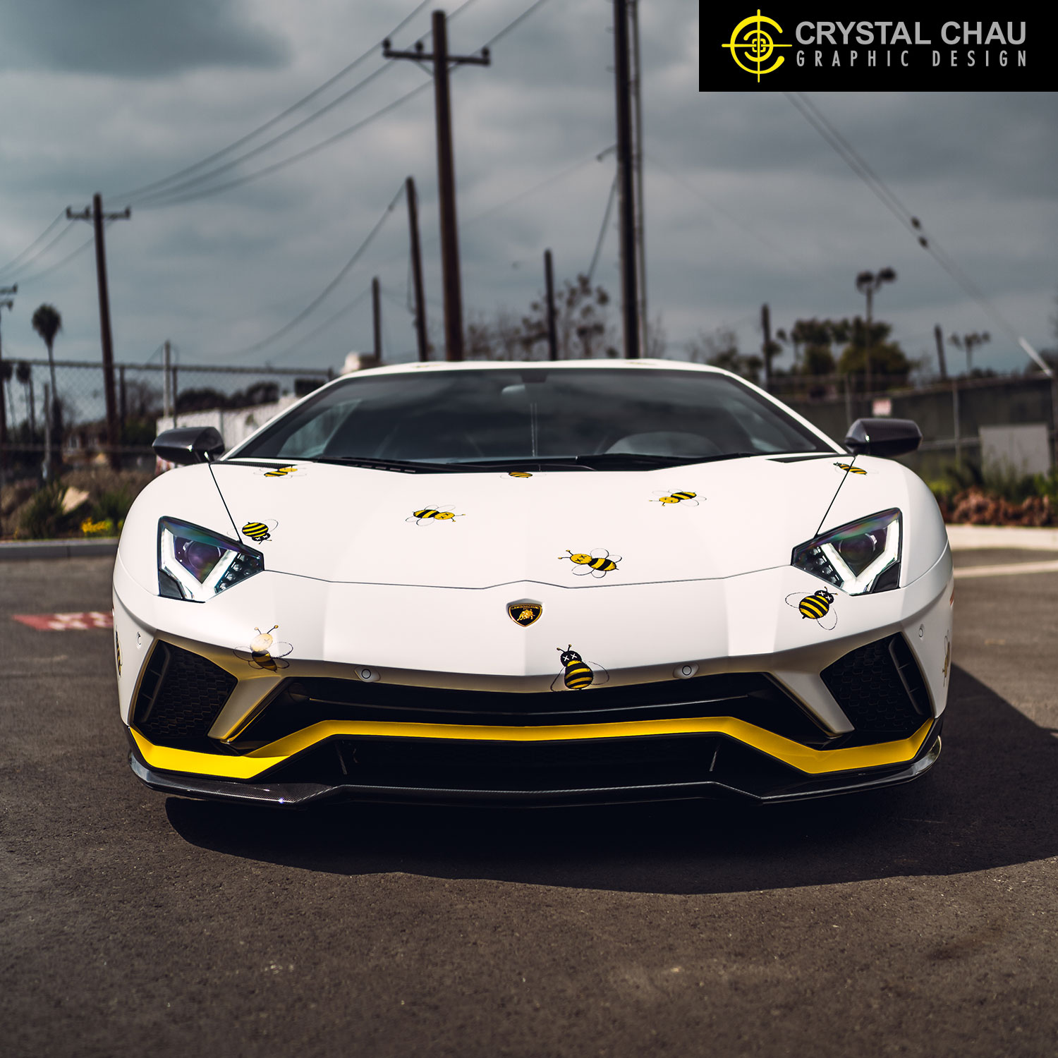 Lamborghini Aventador S Kaws Christian Dior Collab Bees