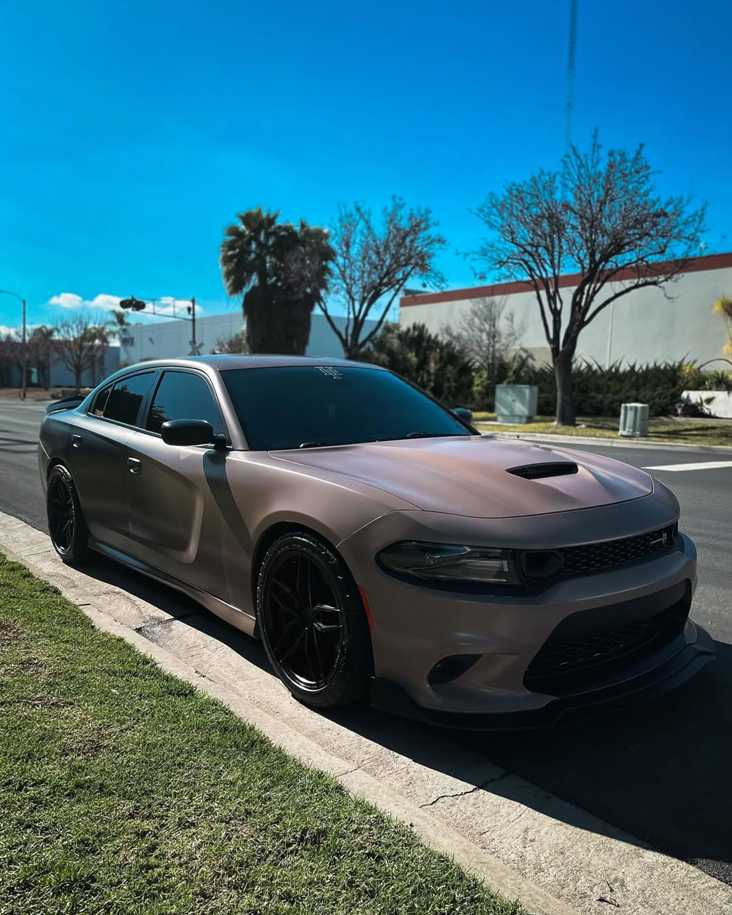 Dodge Charger Scat Pack Gradient