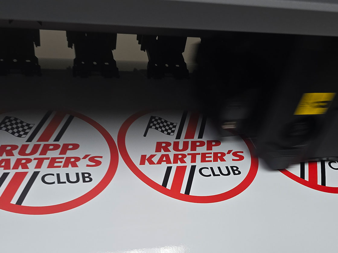 High Quality Vinyl Prints
