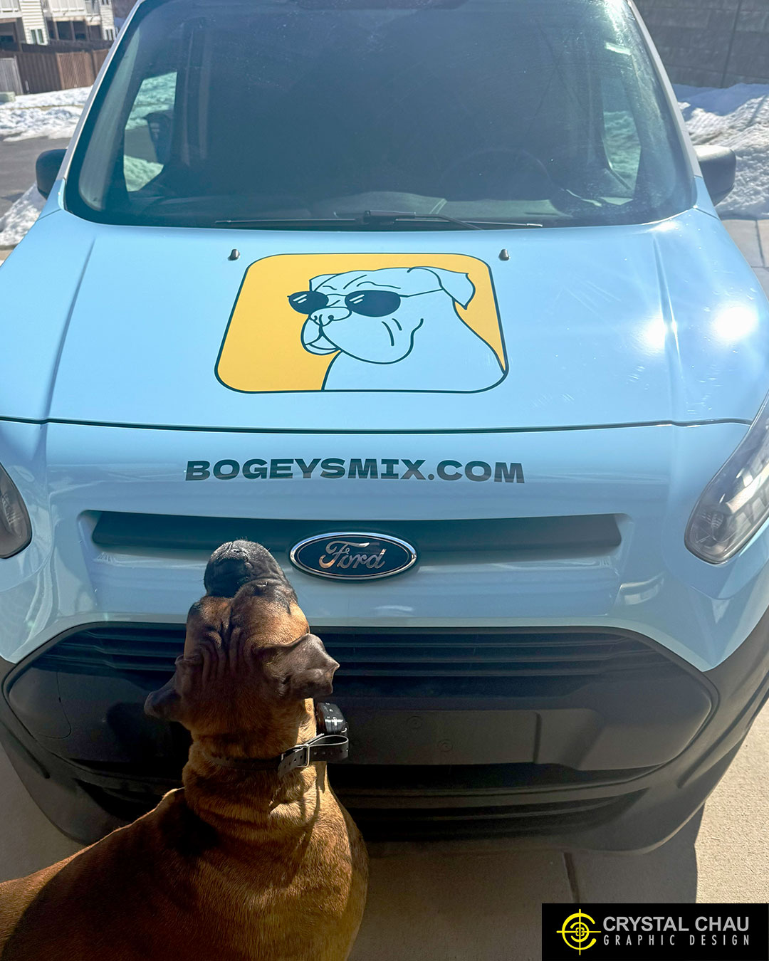 Bogeys Mix Van