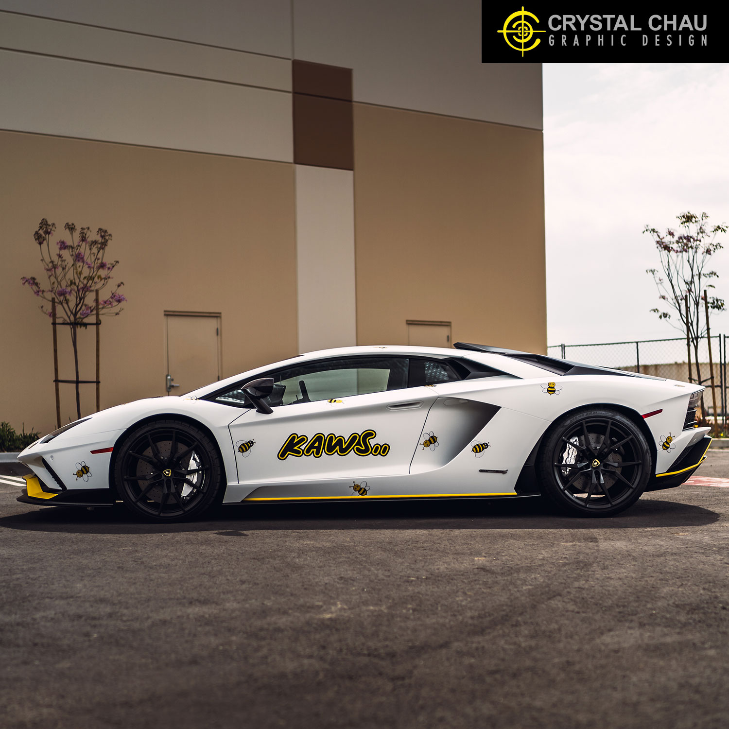 Lamborghini Aventador S KAWS Dior